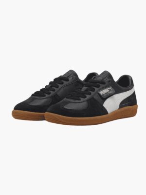 PUMA544 (2)